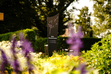 Moderne Aluminium Grabstele mit Pusteblumenmotiv